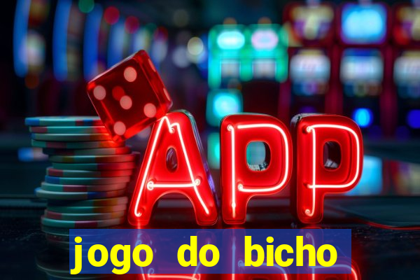 jogo do bicho crash bingo